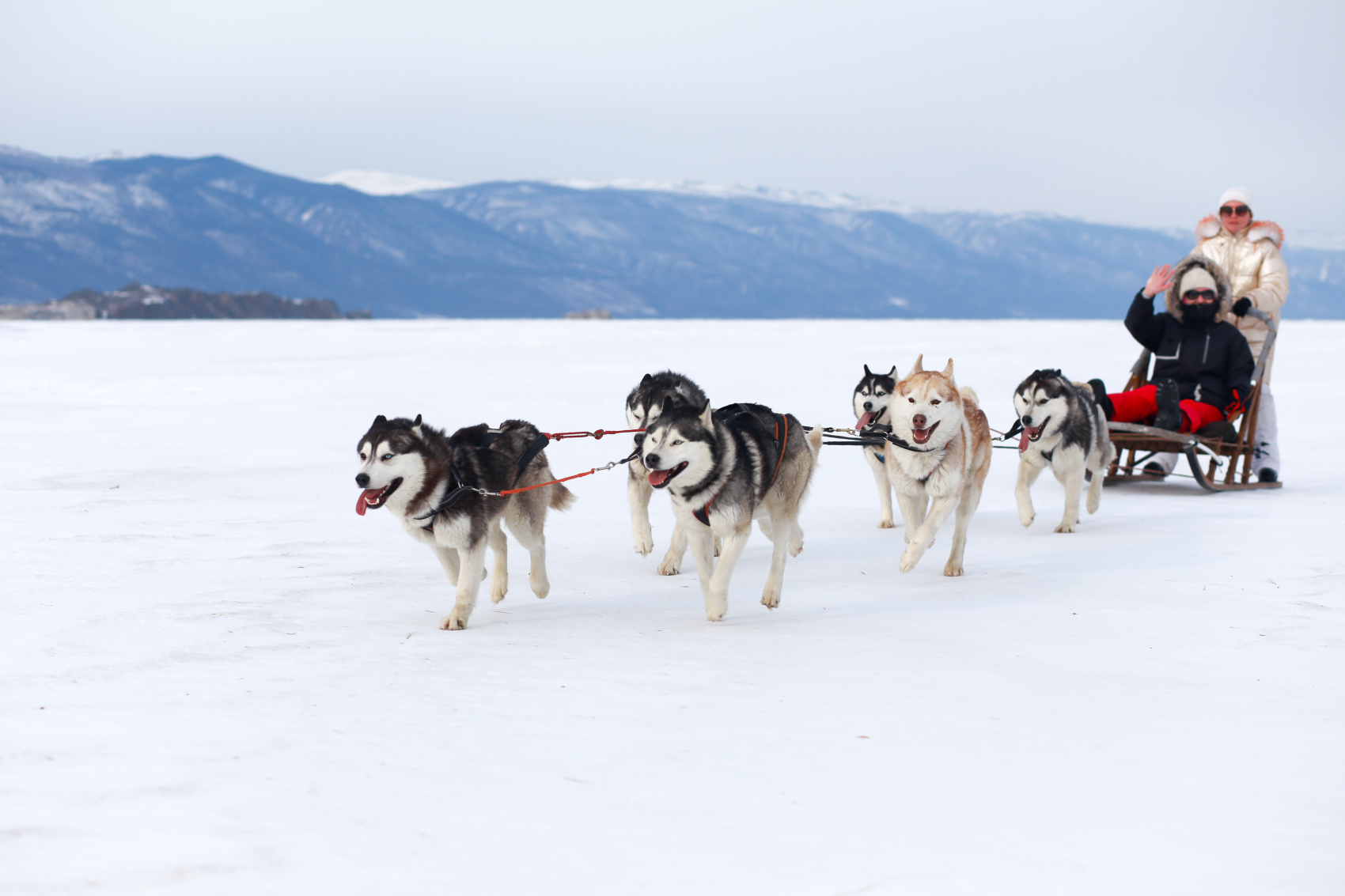 Нежный лёд за выходные! (6/35)