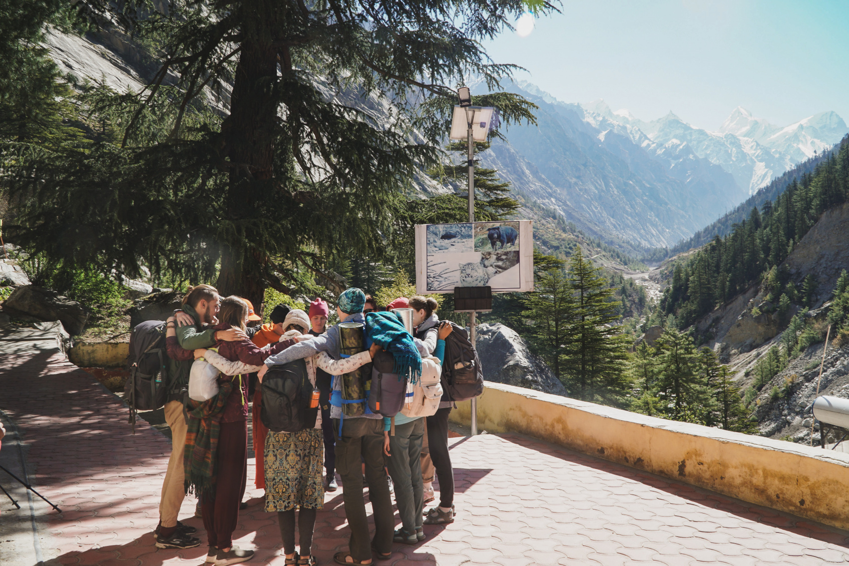 ГИМАЛАИ. Путь к Истоку (8/82)