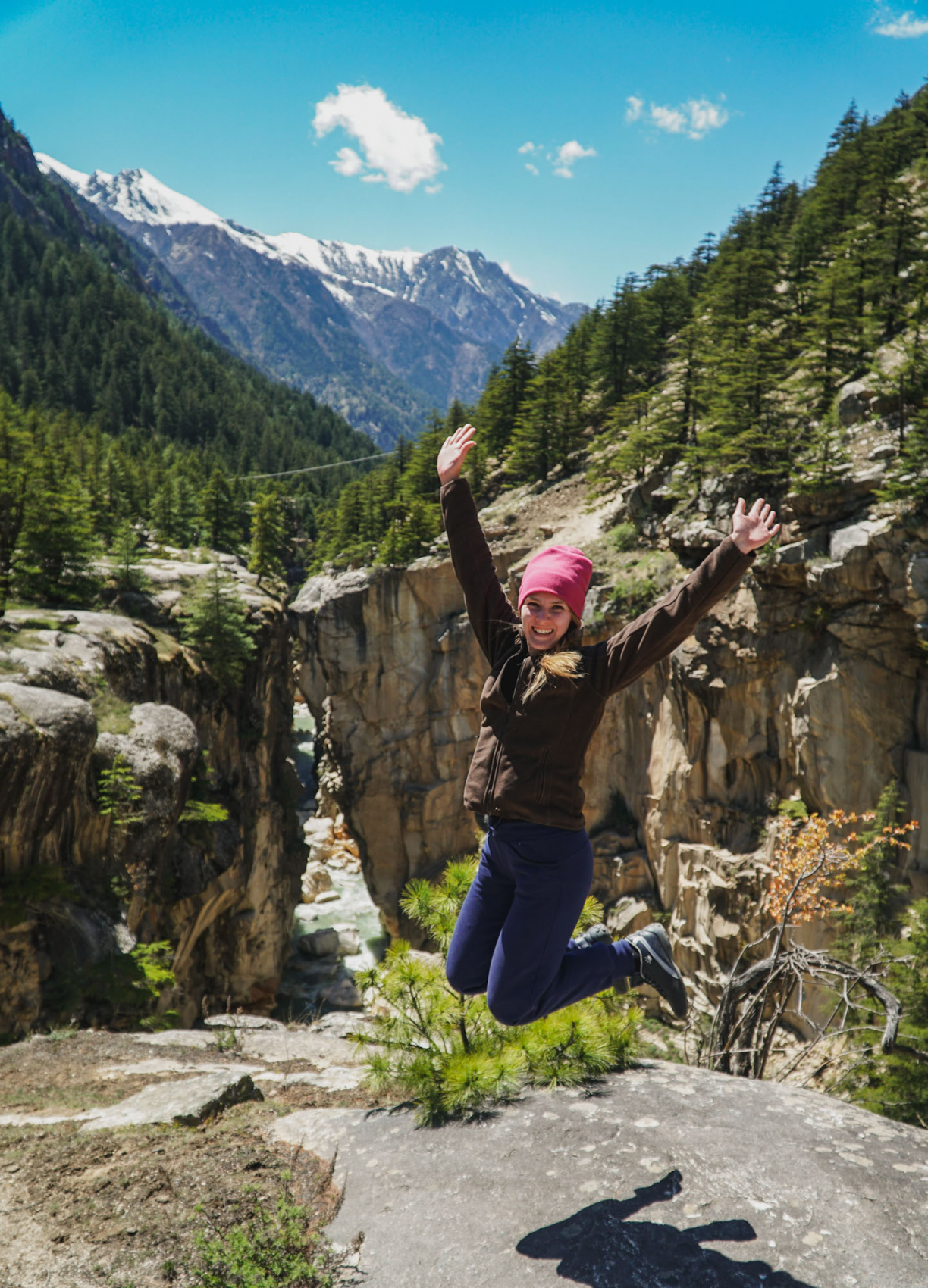 ГИМАЛАИ. Путь к Истоку (23/82)