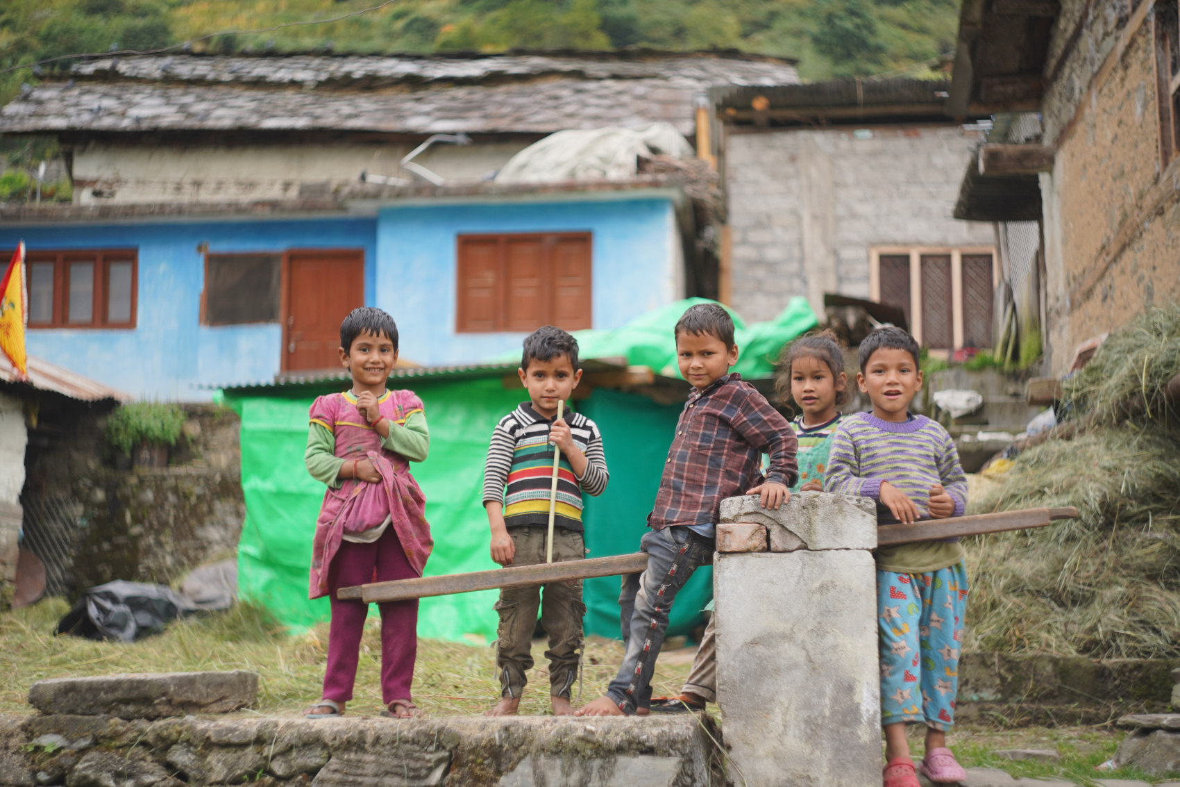 ГИМАЛАИ. Путь к Истоку (53/82)