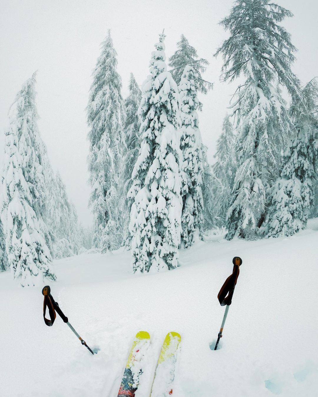 Зимние приключения в снежных Саянах (10/28)