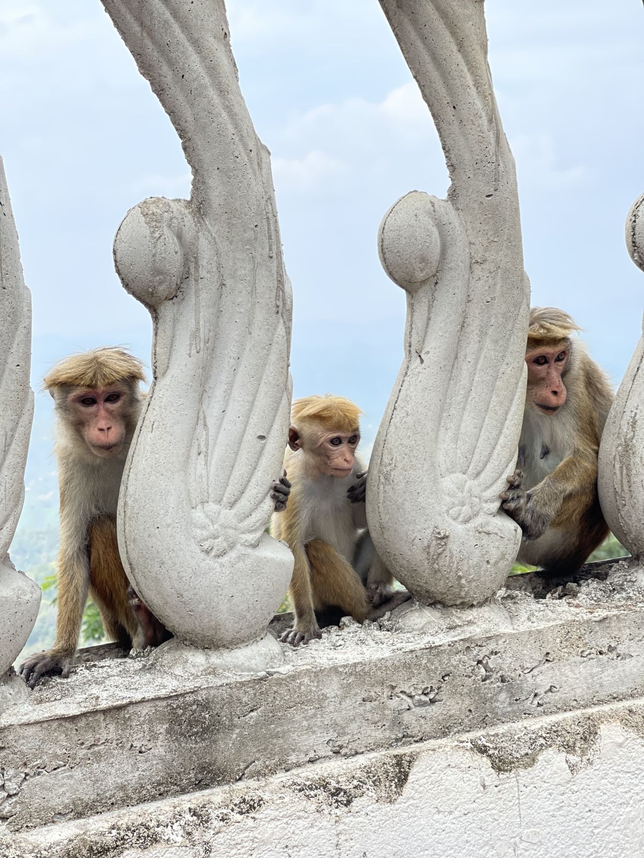 Комфорт Тур. 5 дней по острову и 5 дней на океане. (9/125)