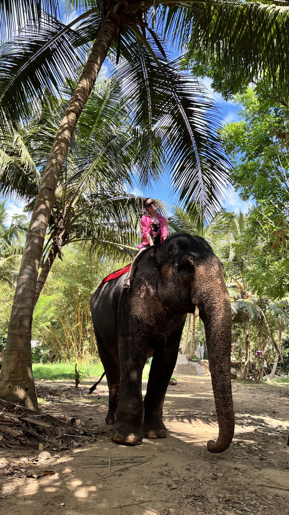Комфорт Тур. 5 дней по острову и 5 дней на океане. (41/125)