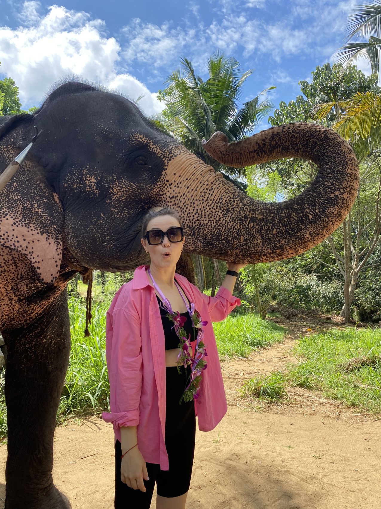 Комфорт Тур. 5 дней по острову и 5 дней на океане. (40/125)