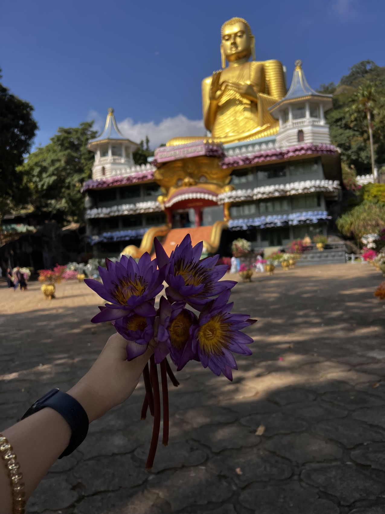 Комфорт Тур. 5 дней по острову и 5 дней на океане. (58/125)