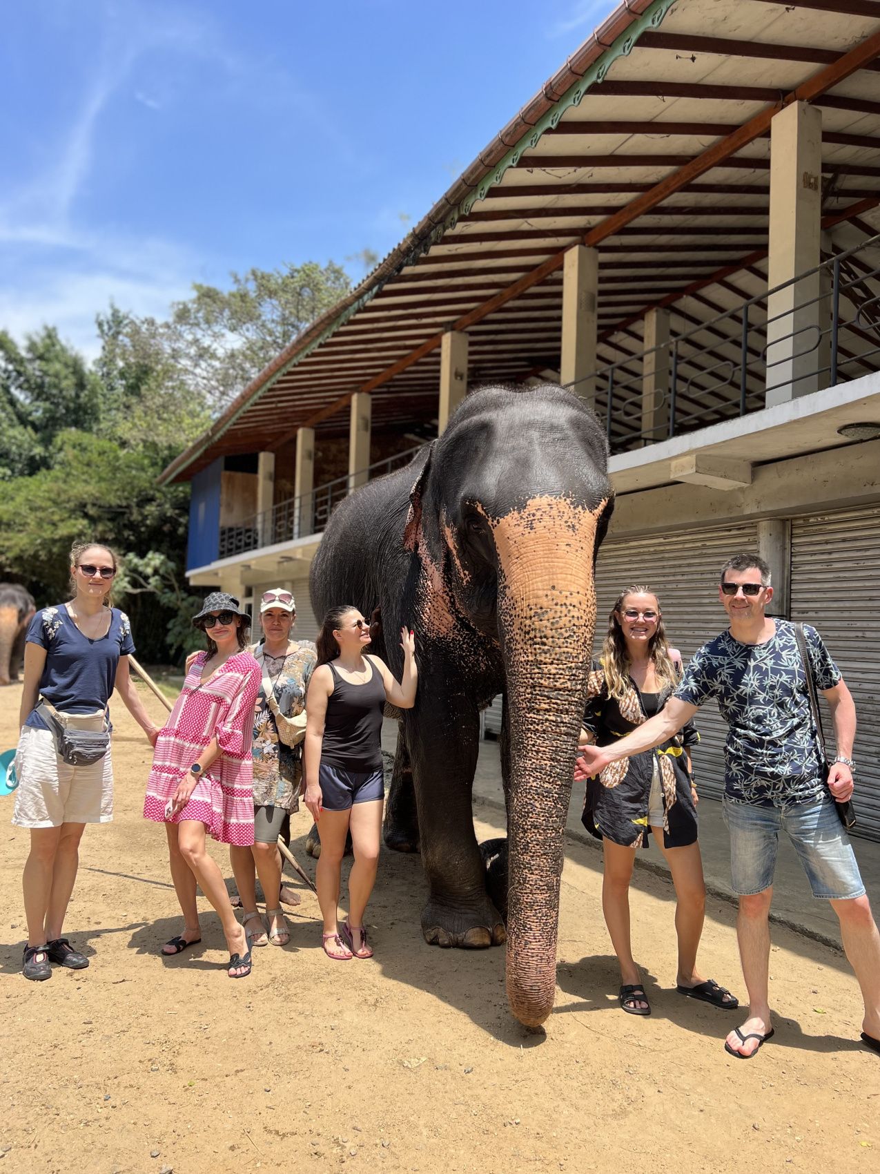 Комфорт Тур. 5 дней по острову и 5 дней на океане. (55/125)