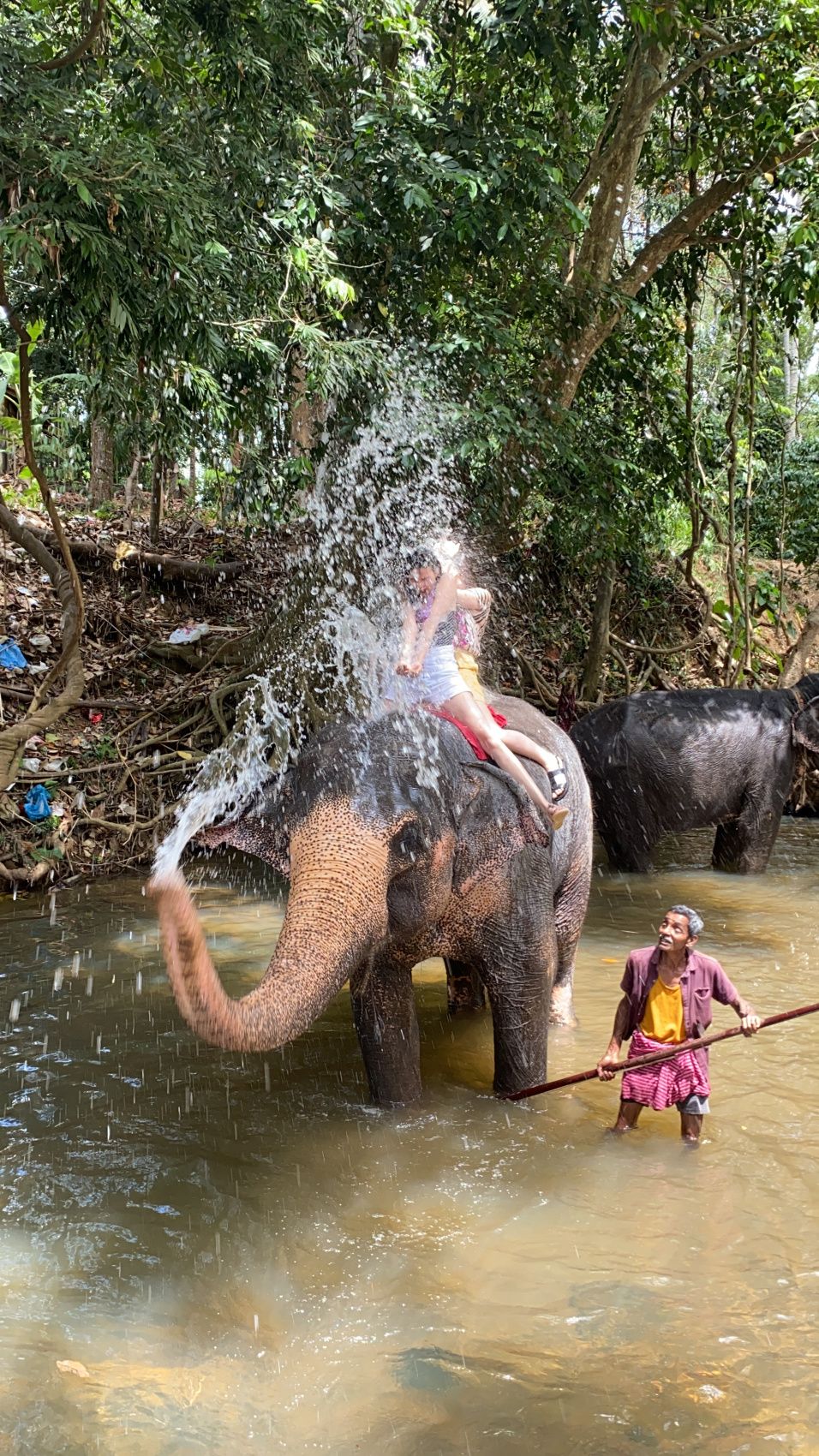 Комфорт Тур. 5 дней по острову и 5 дней на океане. (12/125)