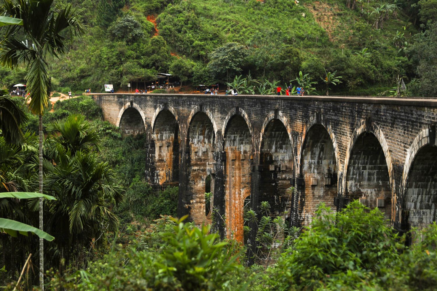Комфорт Тур. 5 дней по острову и 5 дней на океане. (44/125)