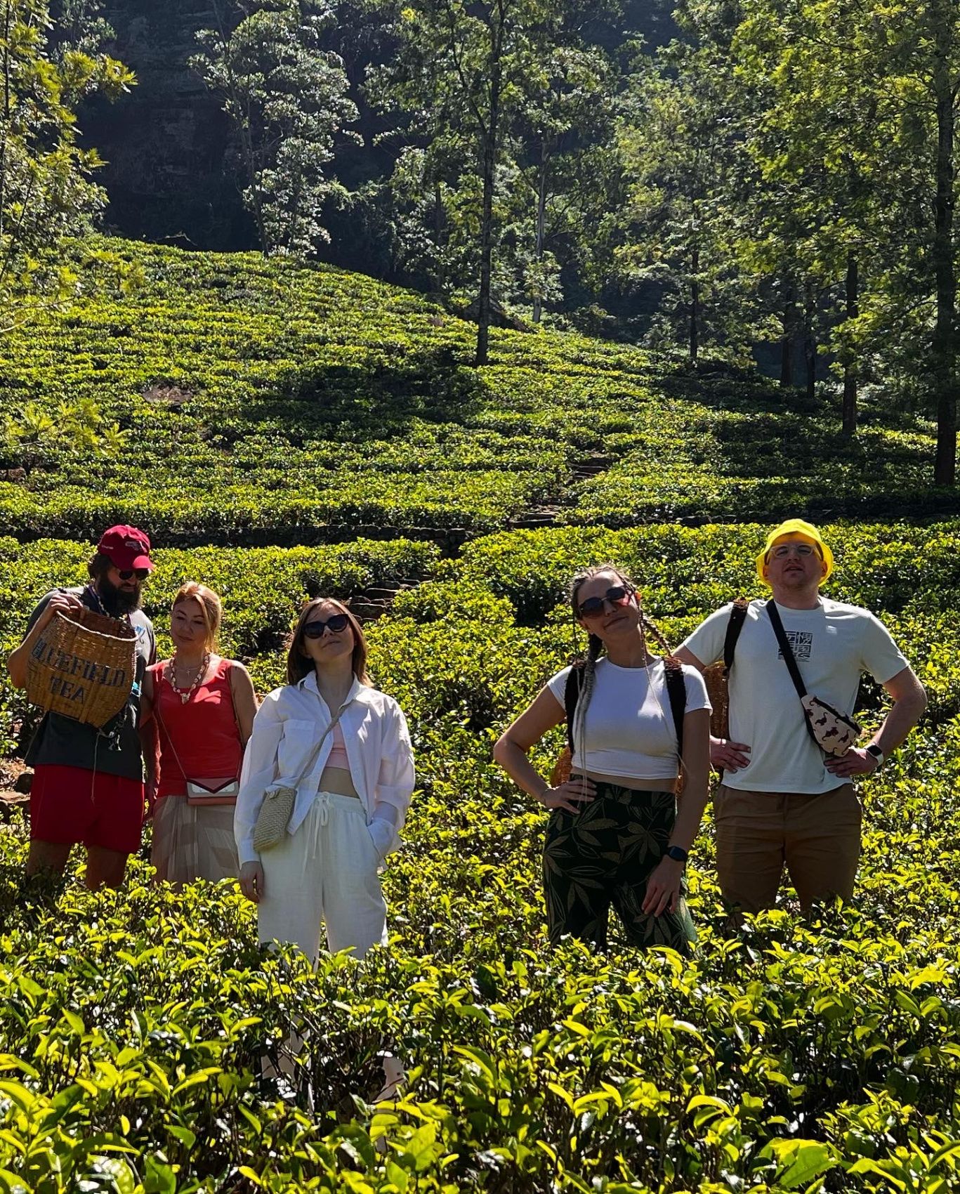 Комфорт Тур. 5 дней по острову и 5 дней на океане. (68/125)