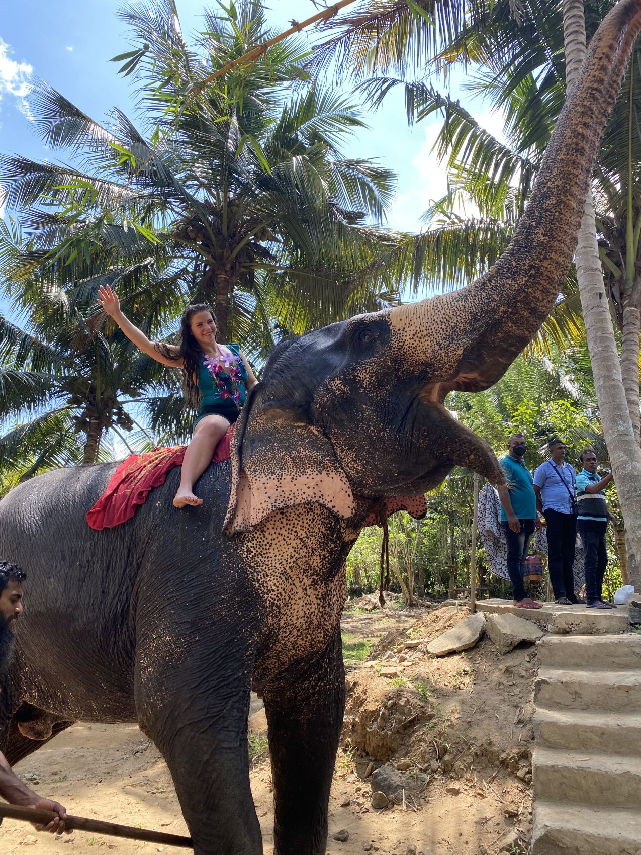 Комфорт Тур. 5 дней по острову и 5 дней на океане. (30/125)