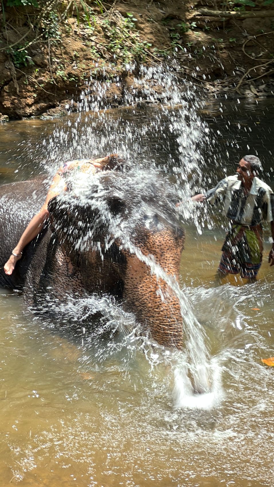 Комфорт Тур. 5 дней по острову и 5 дней на океане. (57/125)