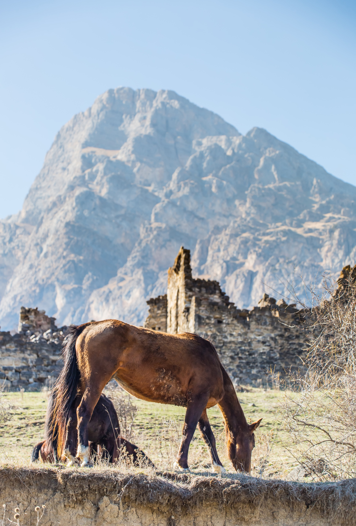 Великолепие гор, кавказская кухня и тёплая компания. Путешествие по трем республикам (7/39)