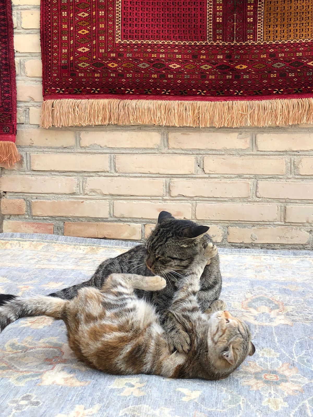 Рождественские Каникулы : От Ташкента до Хивы ( завтраки+ 3 обеда) (5/33)