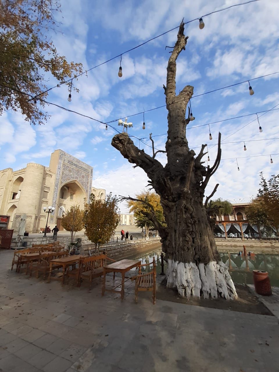 Рождественские Каникулы : От Ташкента до Хивы ( завтраки+ 3 обеда) (4/33)