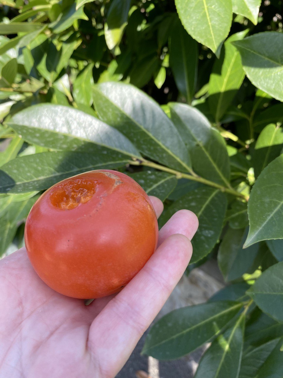 Поход в Рим по Пути Франков (41/82)