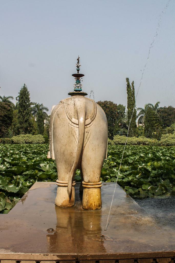 Тур в Раджастан по Стране Махараджей (7/49)
