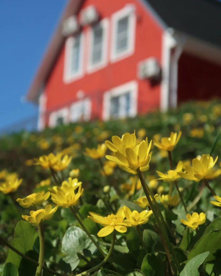 Неожиданная Рязань. Тур выходного дня с фотографом (116/144)