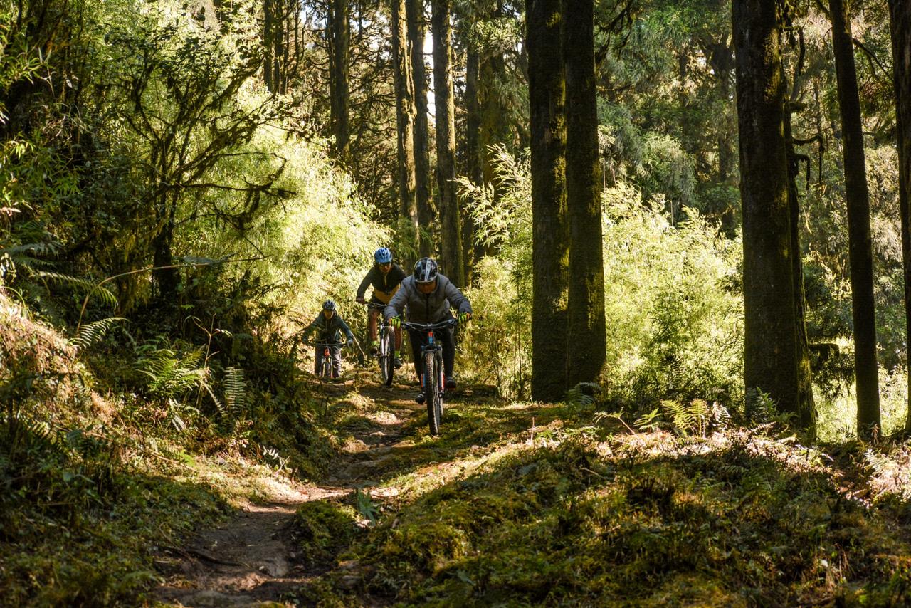Сикким (птичий рай) Велосипедный тур (9/37)