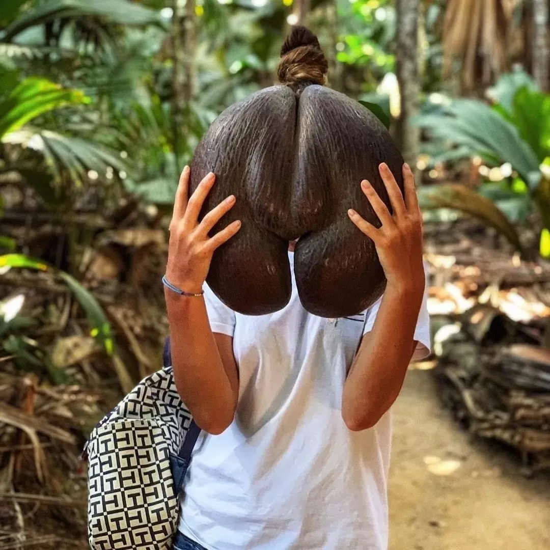 Райские Сейшелы на катамаране. Круиз для одиночных гостей и пар