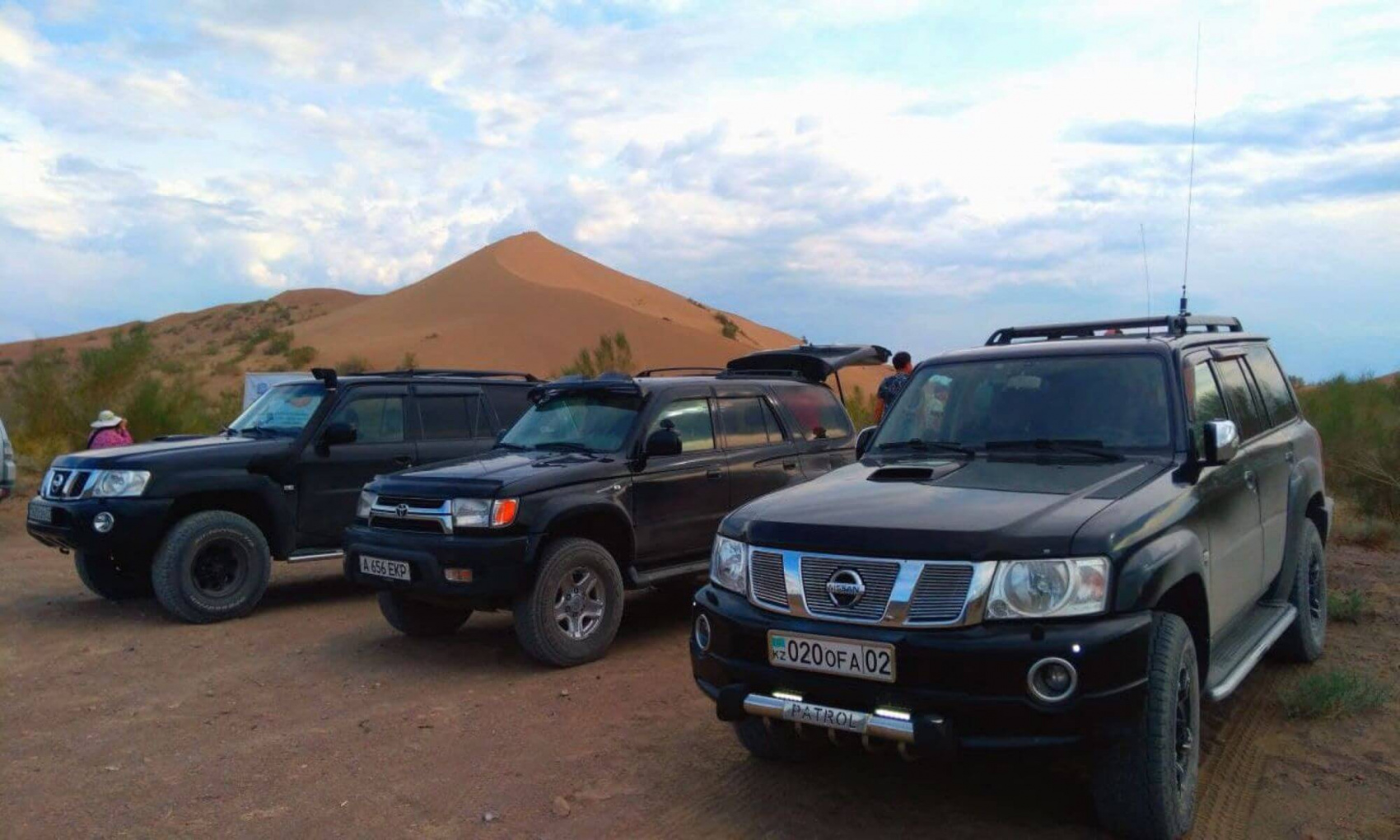 КАЗАХСКОЕ САФАРИ (11/51)