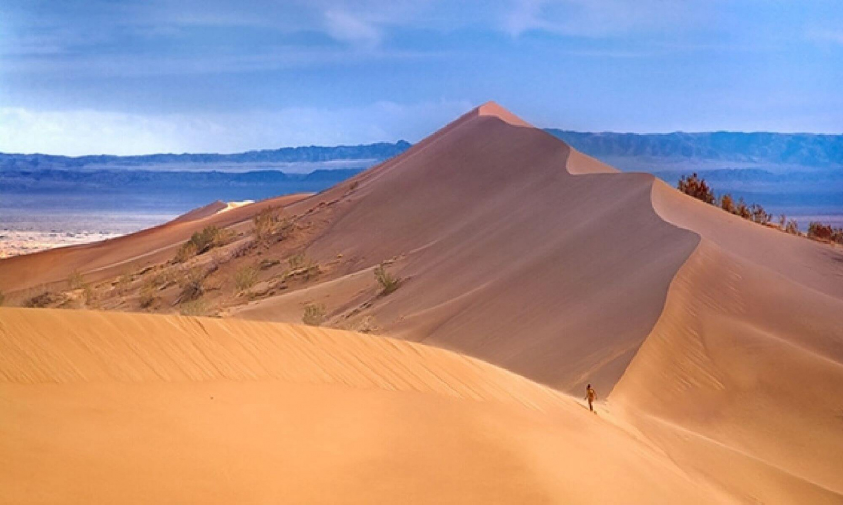 КАЗАХСКОЕ САФАРИ (24/51)