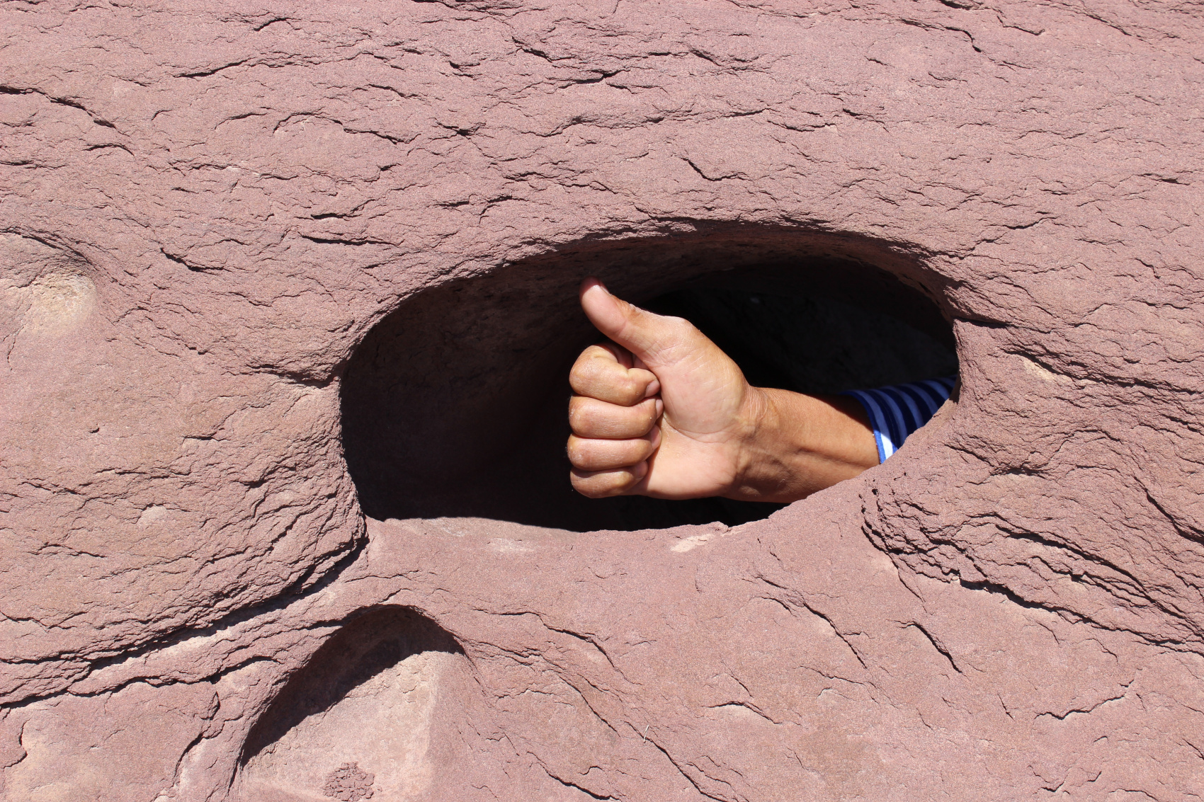 КАЗАХСКОЕ САФАРИ (43/51)