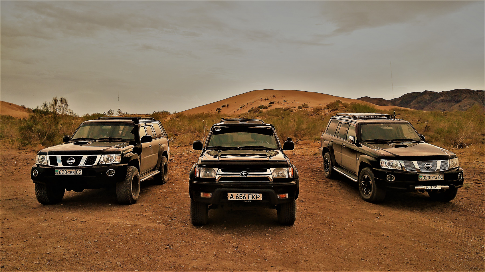 КАЗАХСКОЕ САФАРИ (18/51)