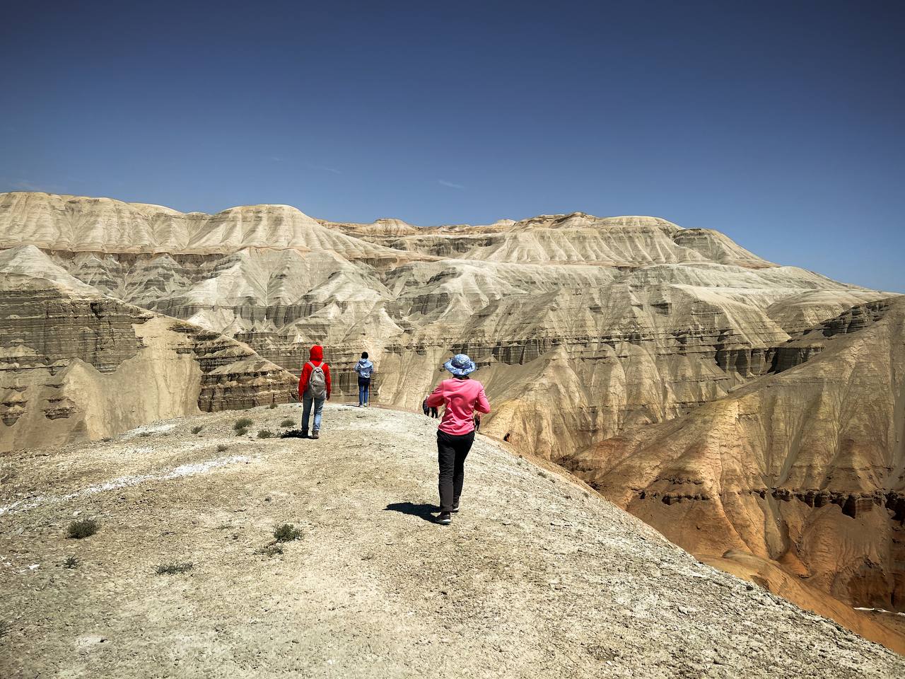 КАЗАХСКОЕ САФАРИ (10/51)