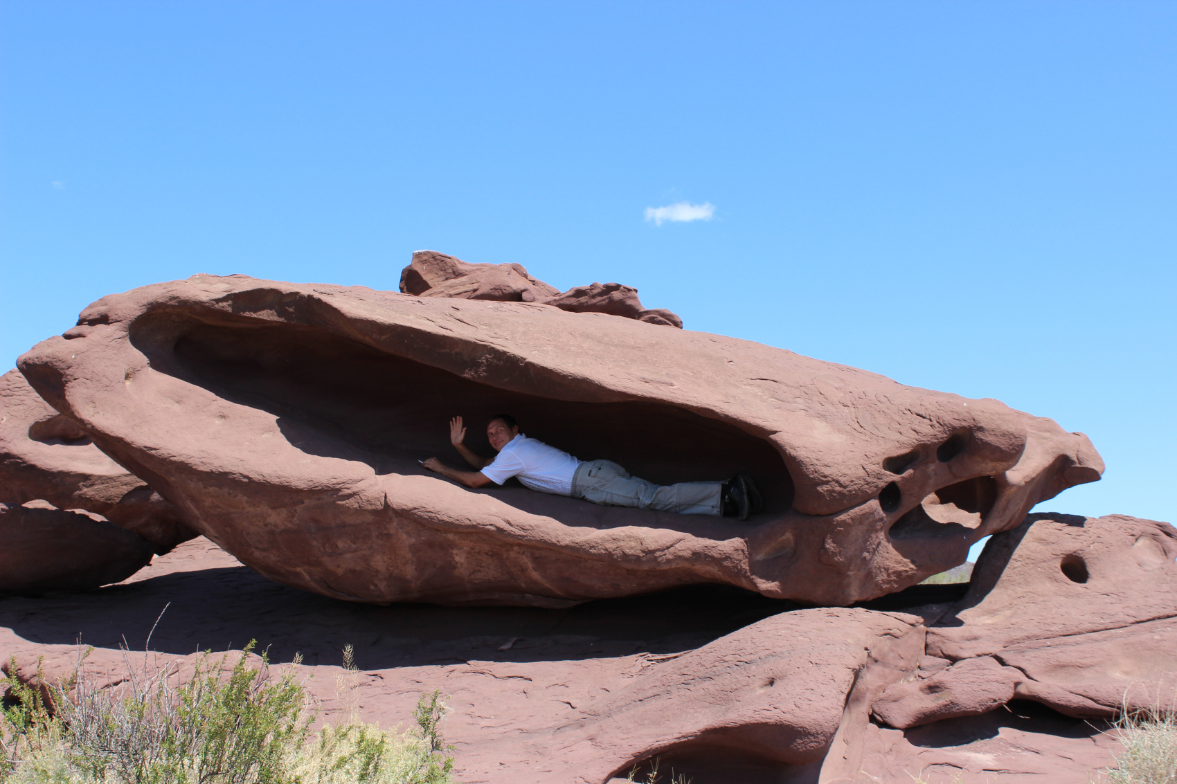 КАЗАХСКОЕ САФАРИ (40/51)