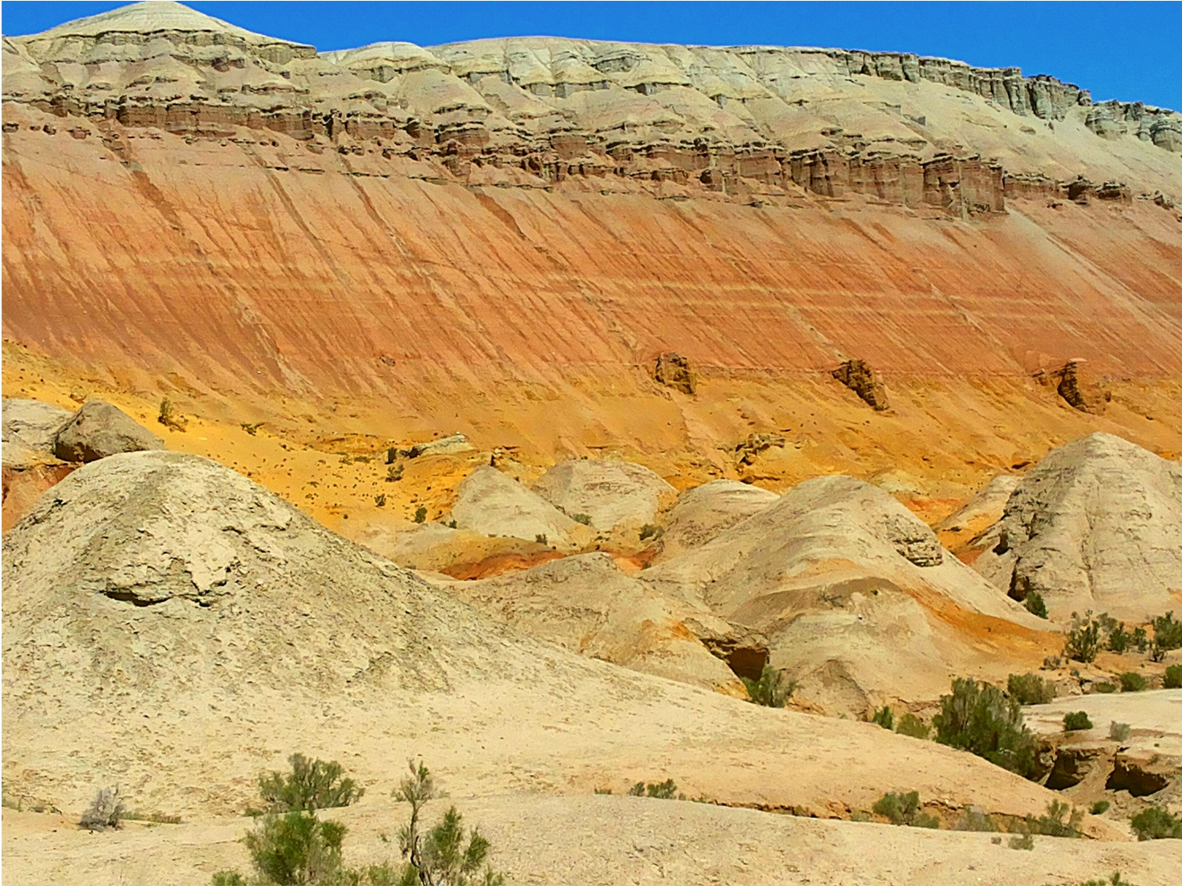 КАЗАХСКОЕ САФАРИ (41/51)