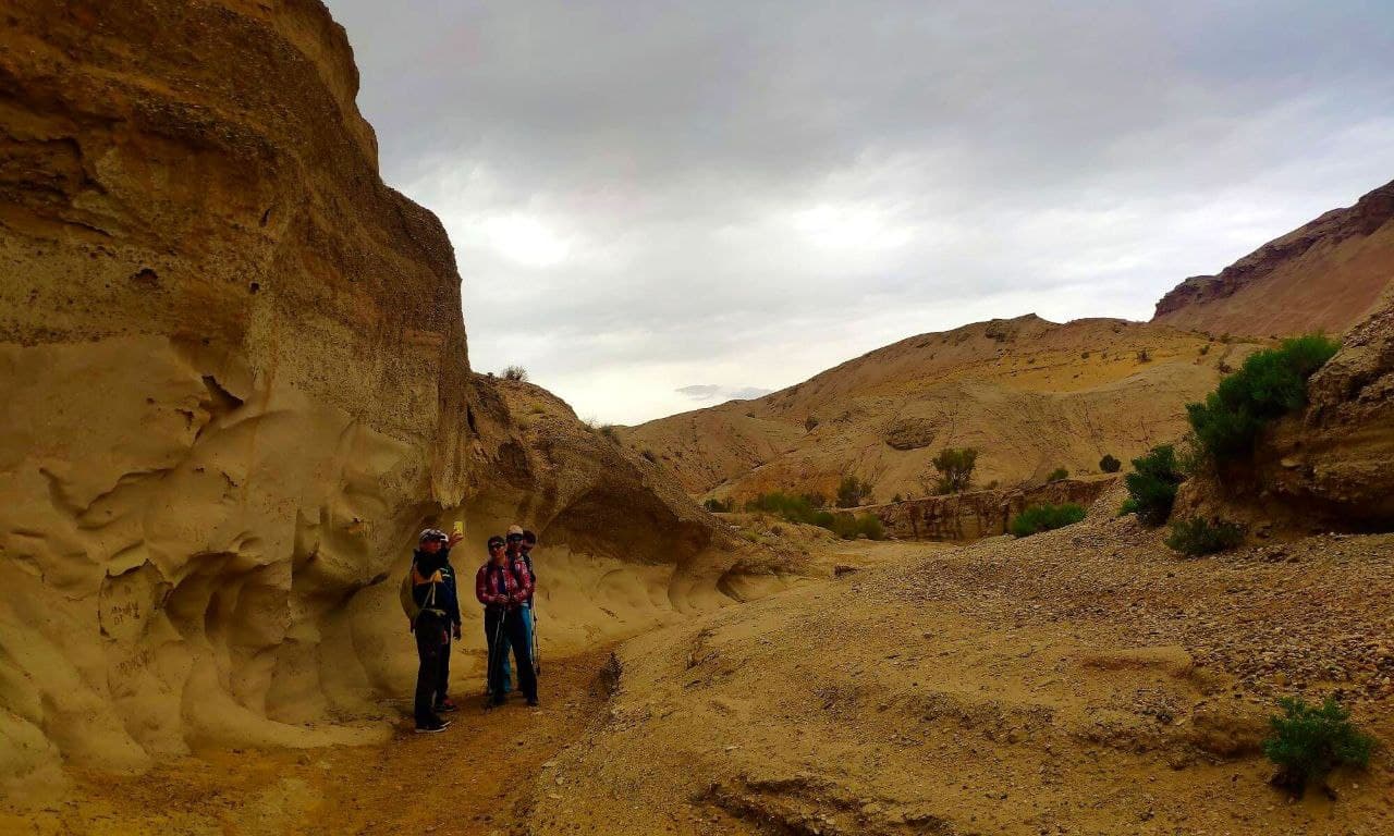 КАЗАХСКОЕ САФАРИ (20/51)