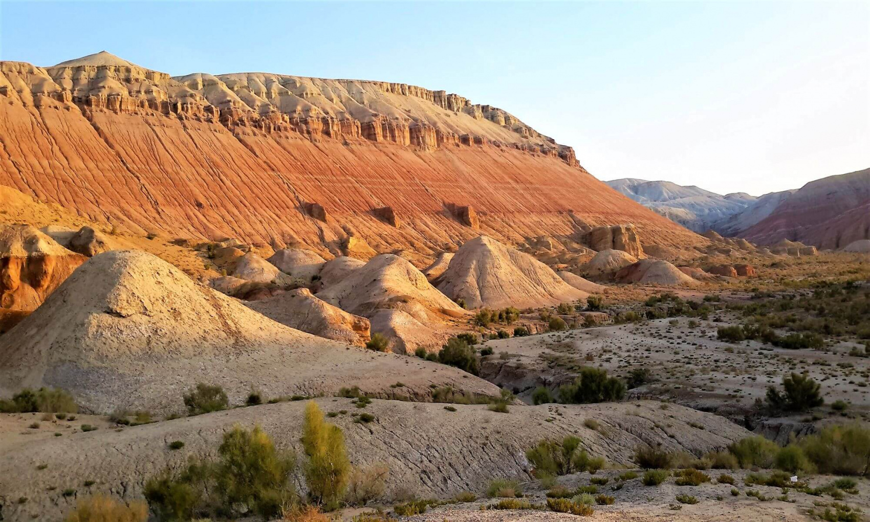 КАЗАХСКОЕ САФАРИ (26/51)