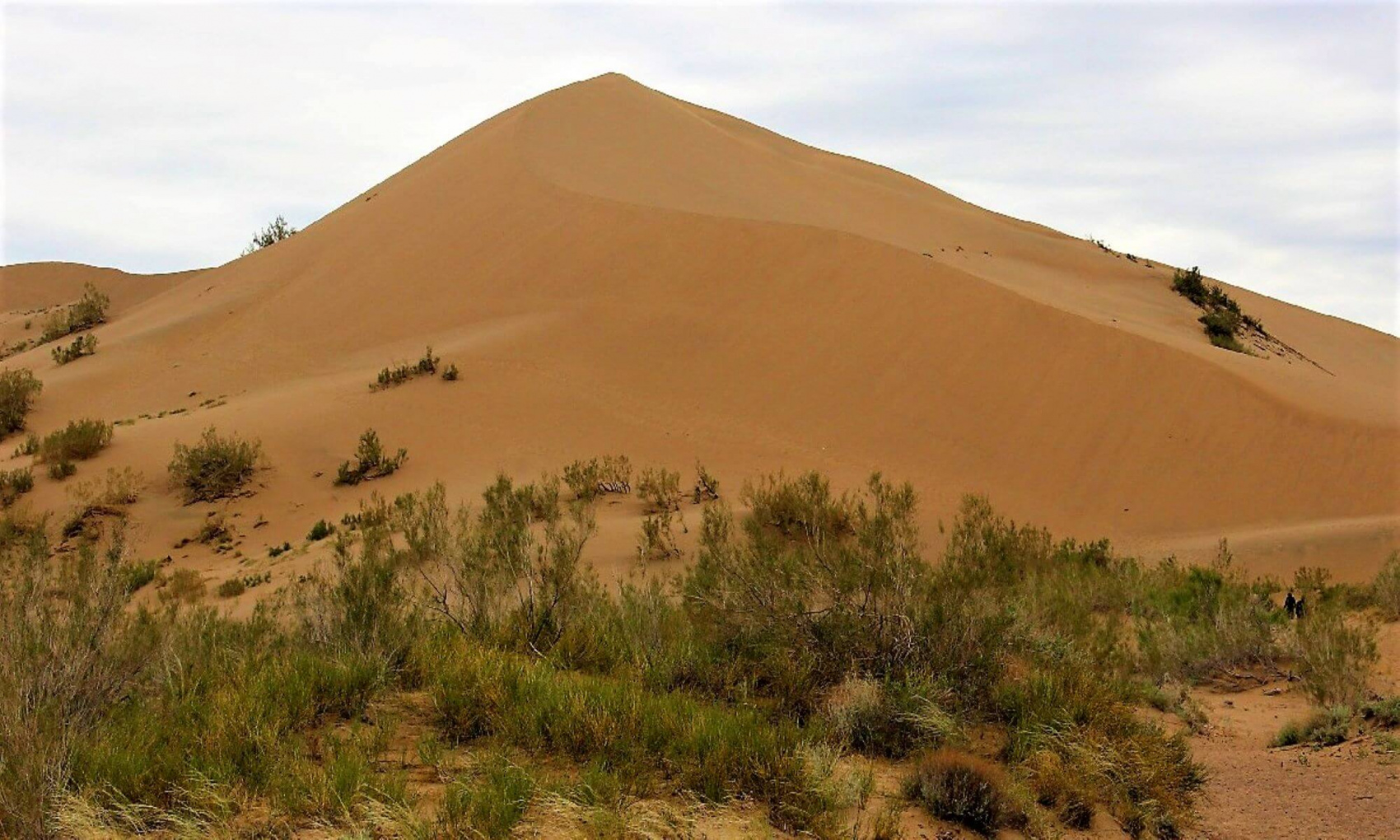 КАЗАХСКОЕ САФАРИ (31/51)