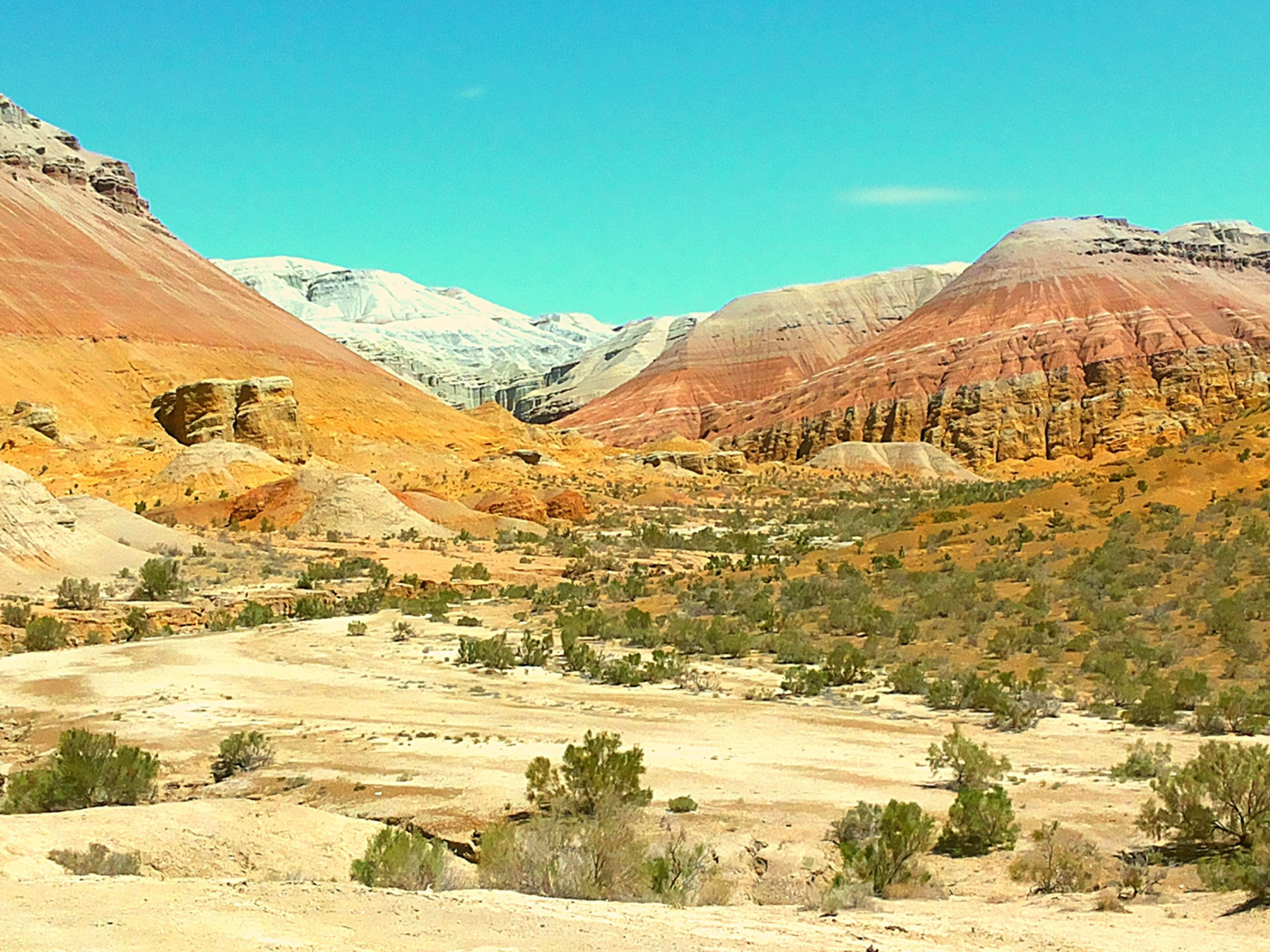 КАЗАХСКОЕ САФАРИ (25/51)