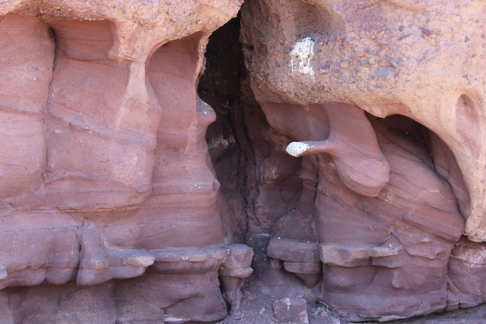 КАЗАХСКОЕ САФАРИ (42/51)