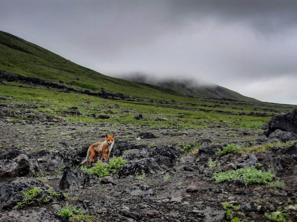 Поход по Кунаширу и Шикотану — Курильские острова (4/25)