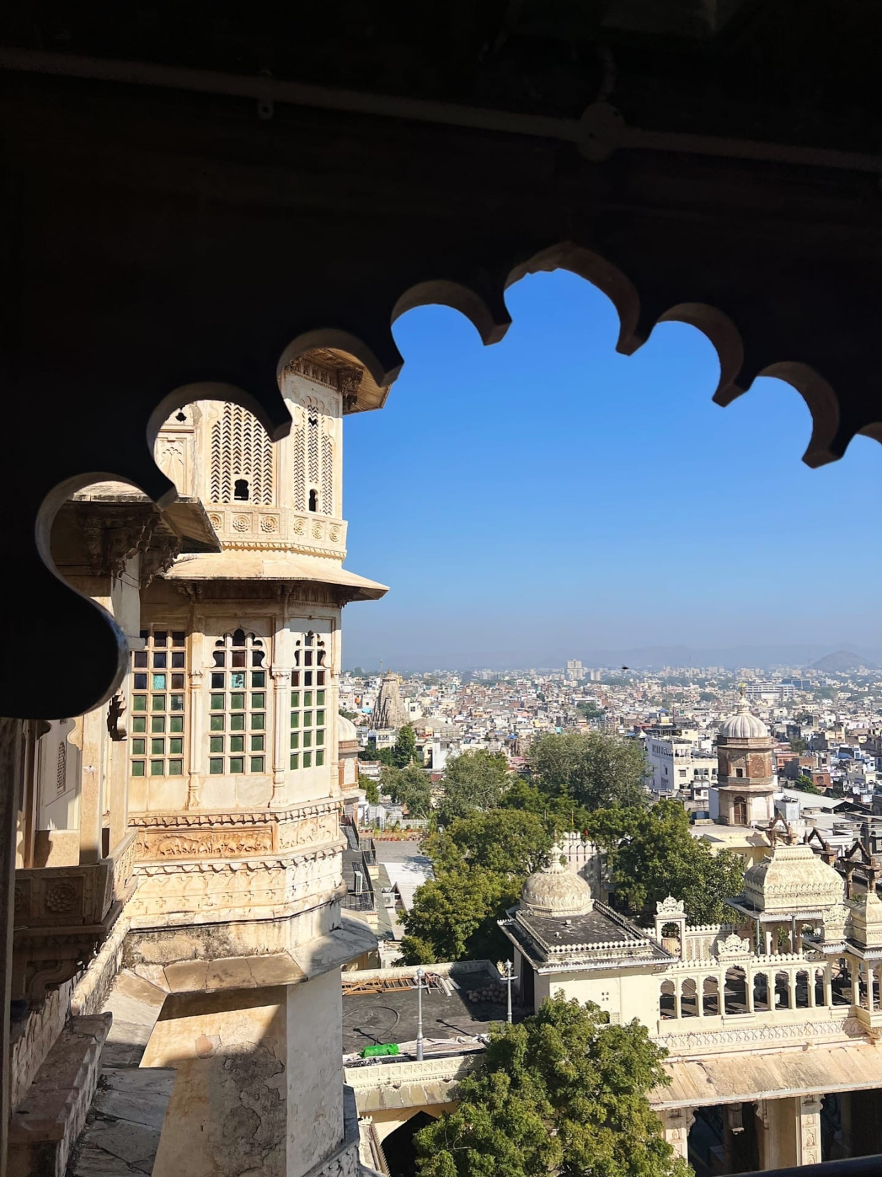 Золотой треугольник Индии + пляжи Гоа (50/143)