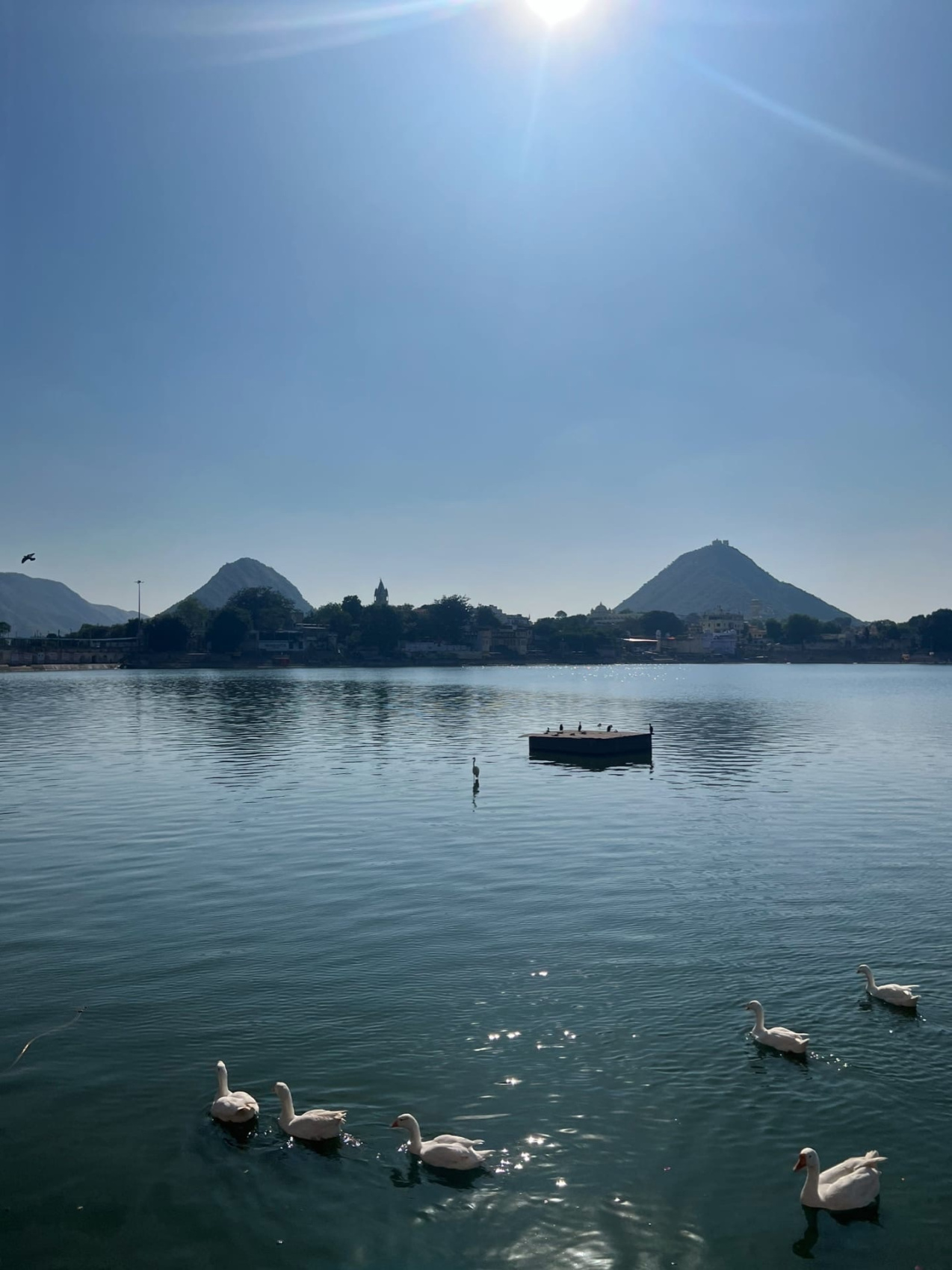 Золотой треугольник Индии + пляжи Гоа (78/143)