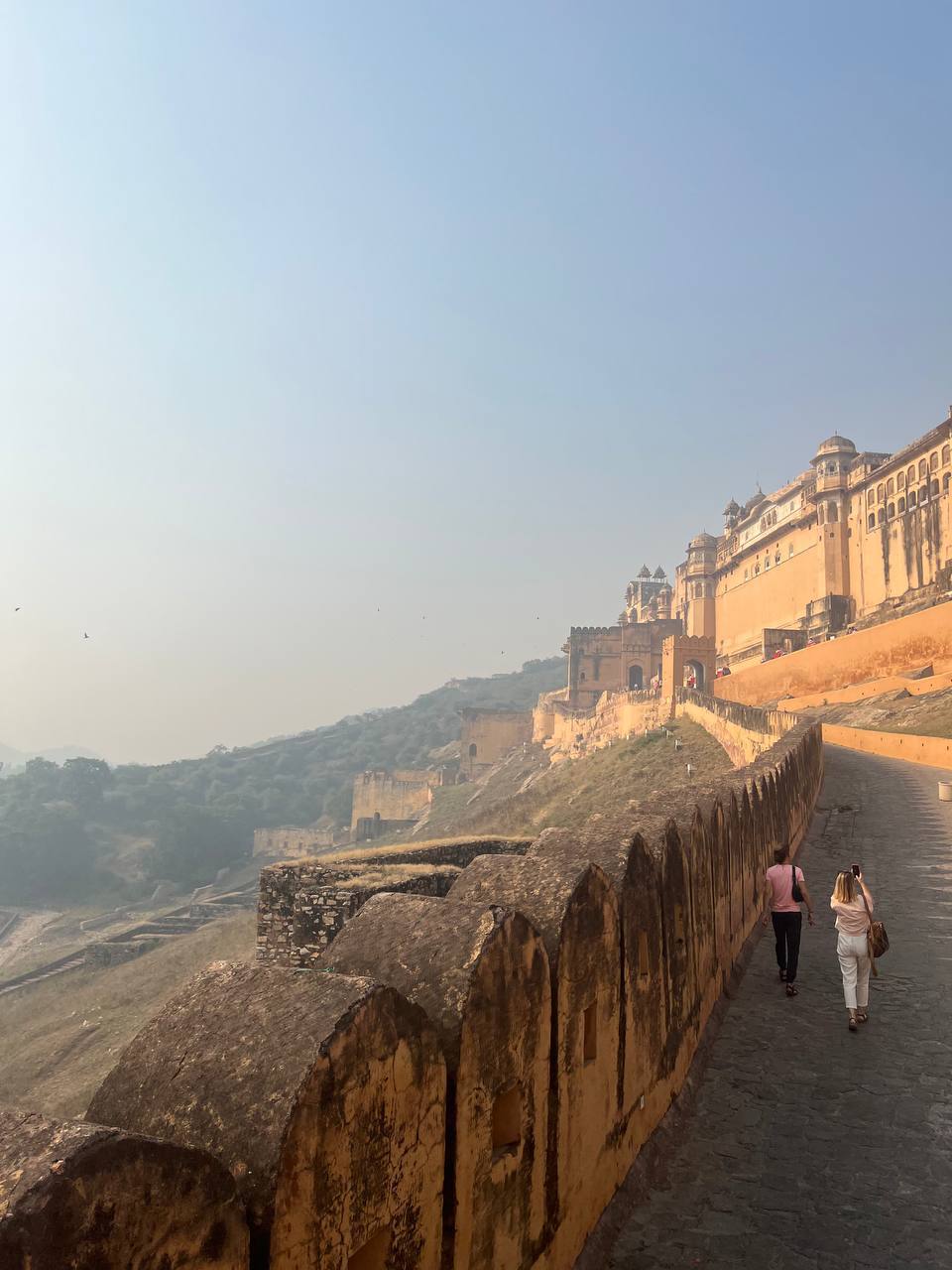 Золотой треугольник Индии + пляжи Гоа (23/143)