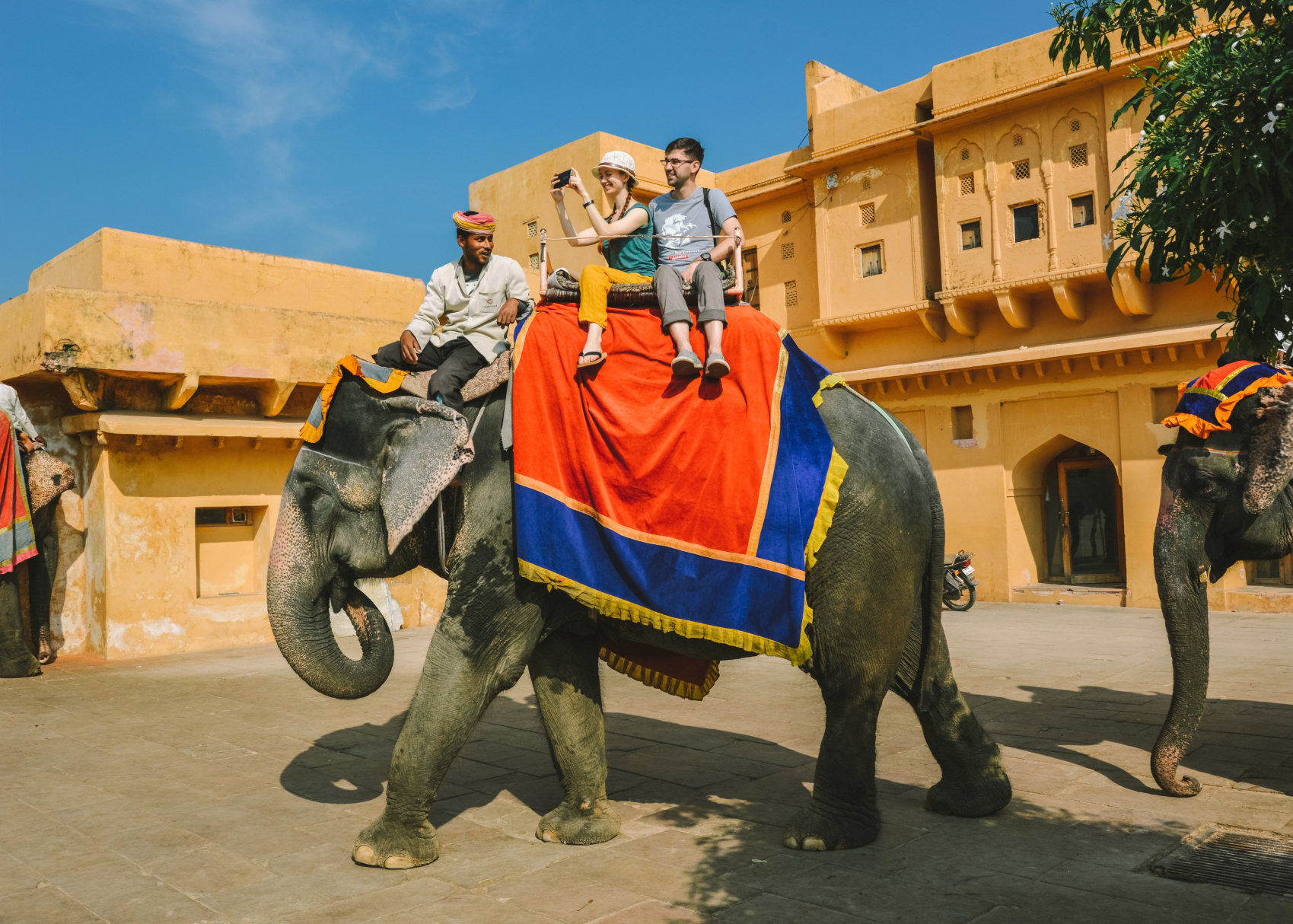 Золотой треугольник Индии + пляжи Гоа (11/143)