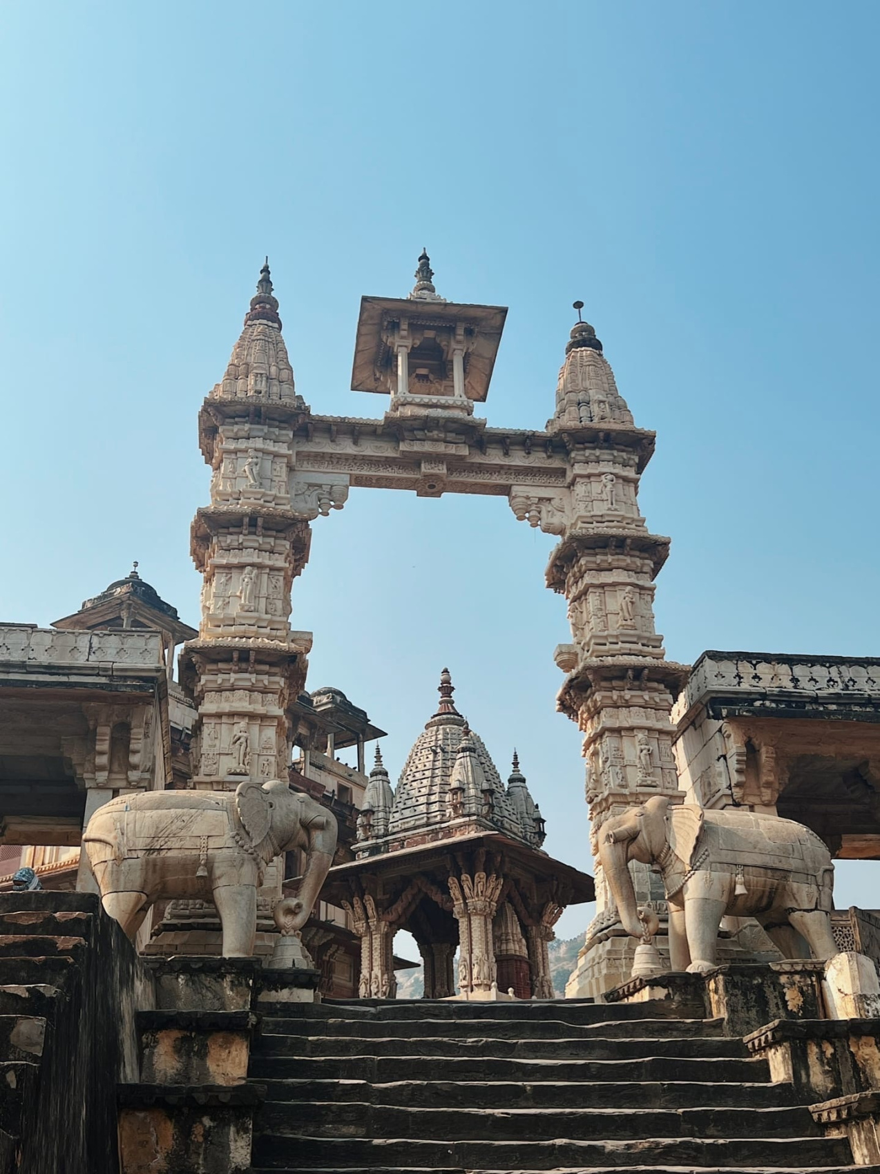 Золотой треугольник Индии + пляжи Гоа (57/143)