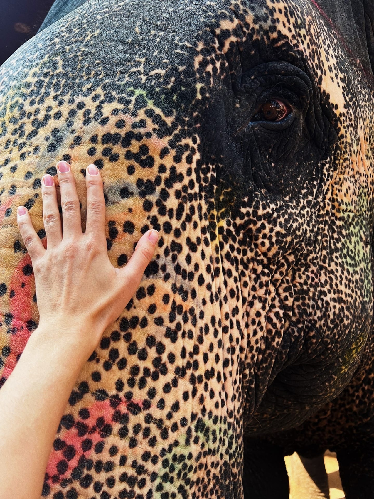 Золотой треугольник Индии + пляжи Гоа (116/143)