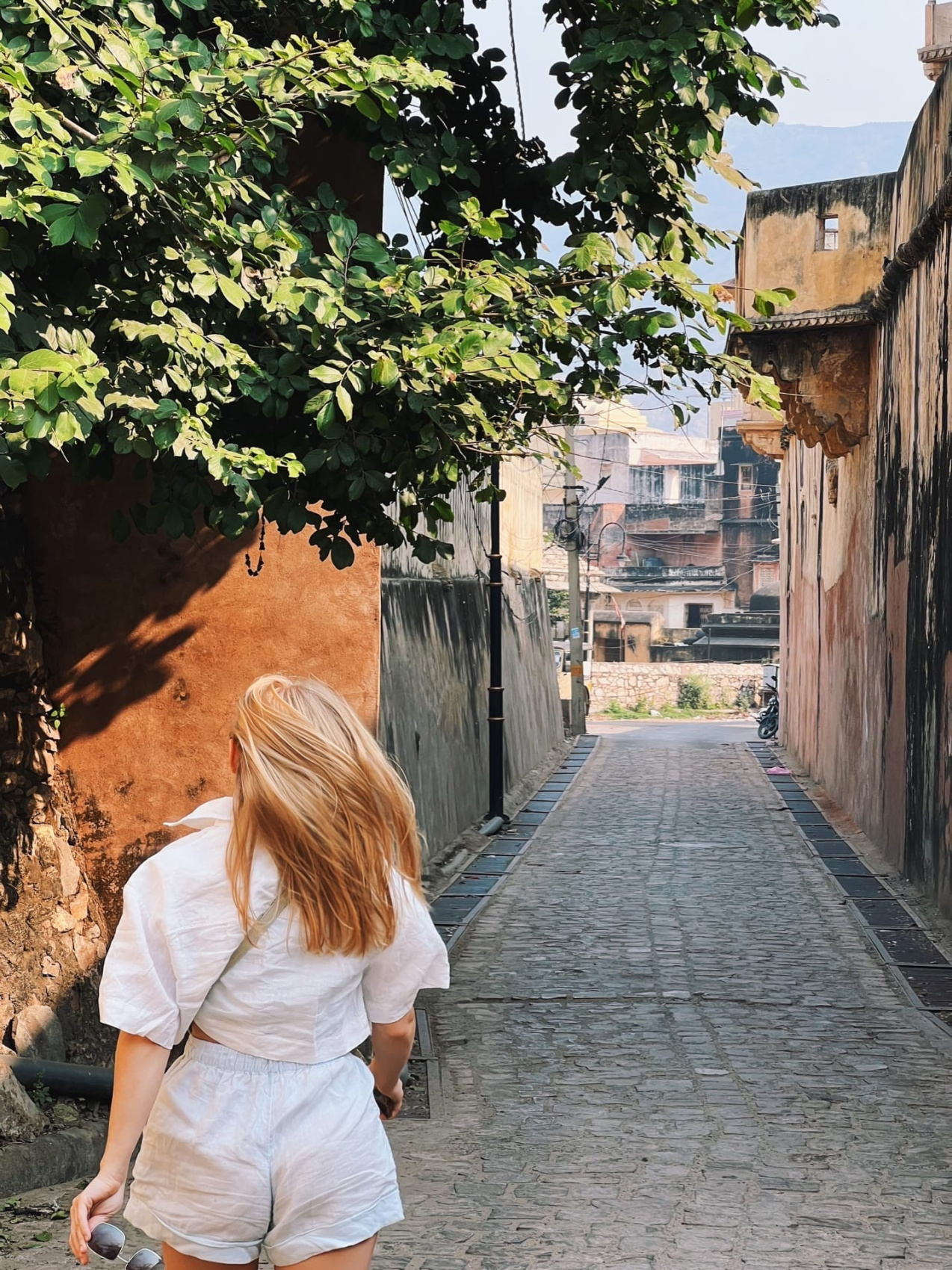 Золотой треугольник Индии + пляжи Гоа (64/143)