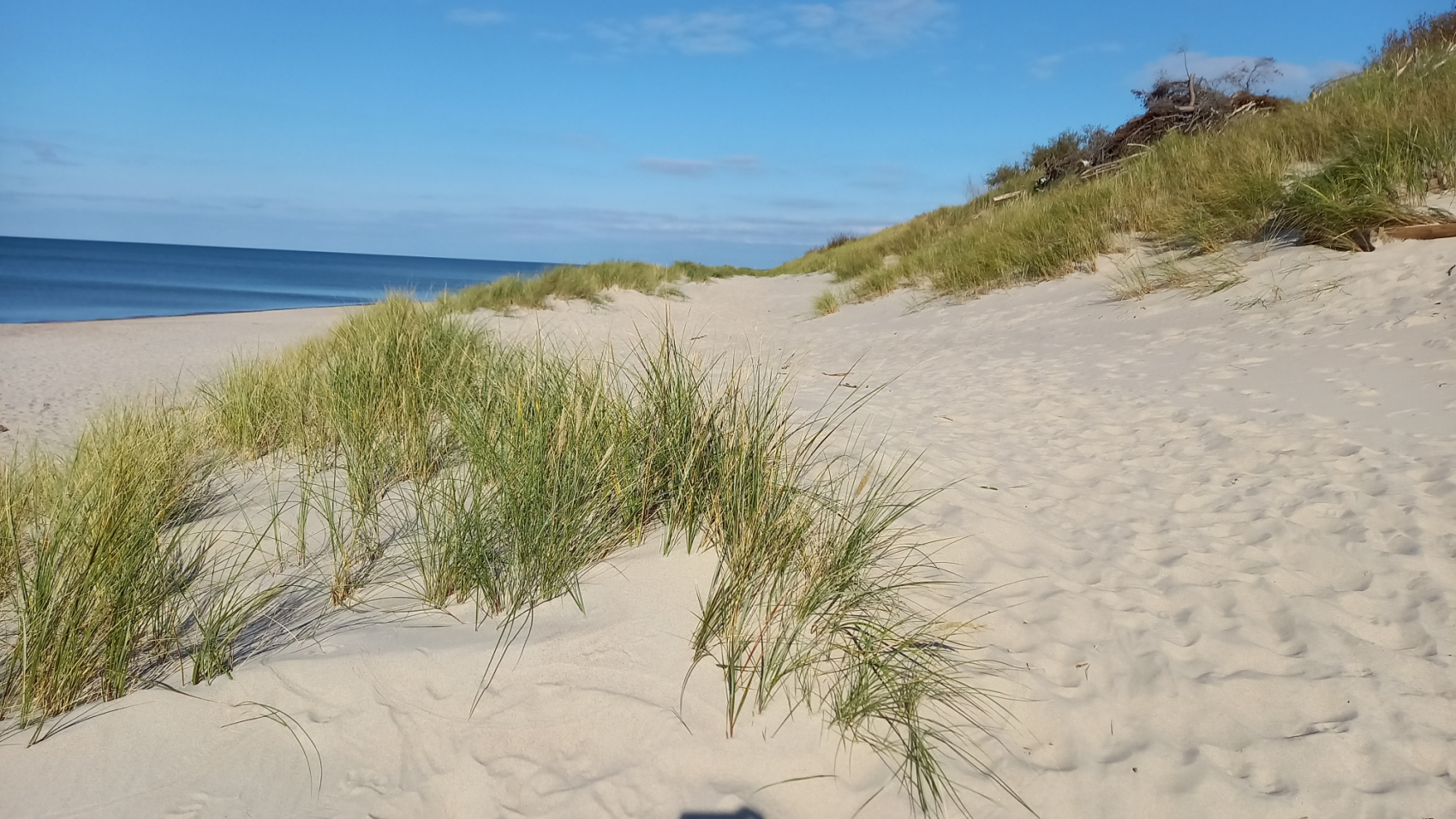 Vip Девичник на Балтийском побережье (18/47)