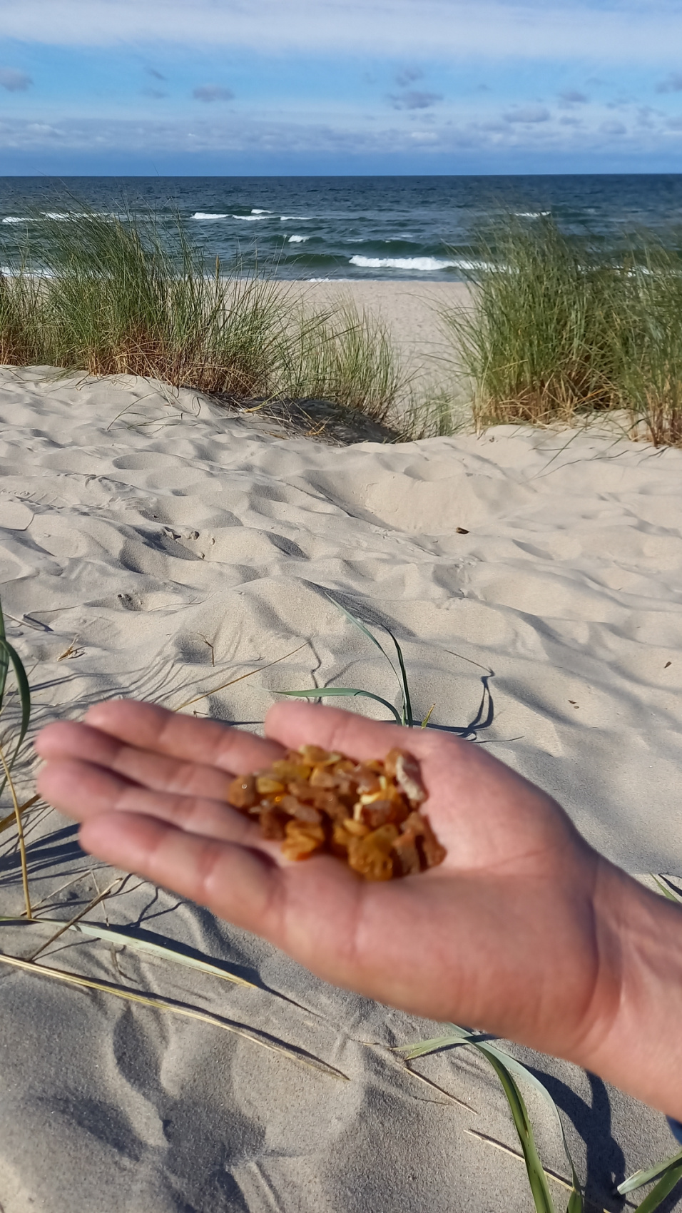 Vip Девичник на Балтийском побережье (17/47)