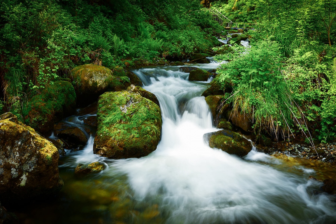 Экспедиция к подножию Белухи (налегке, с конным сопровождением) (7/37)