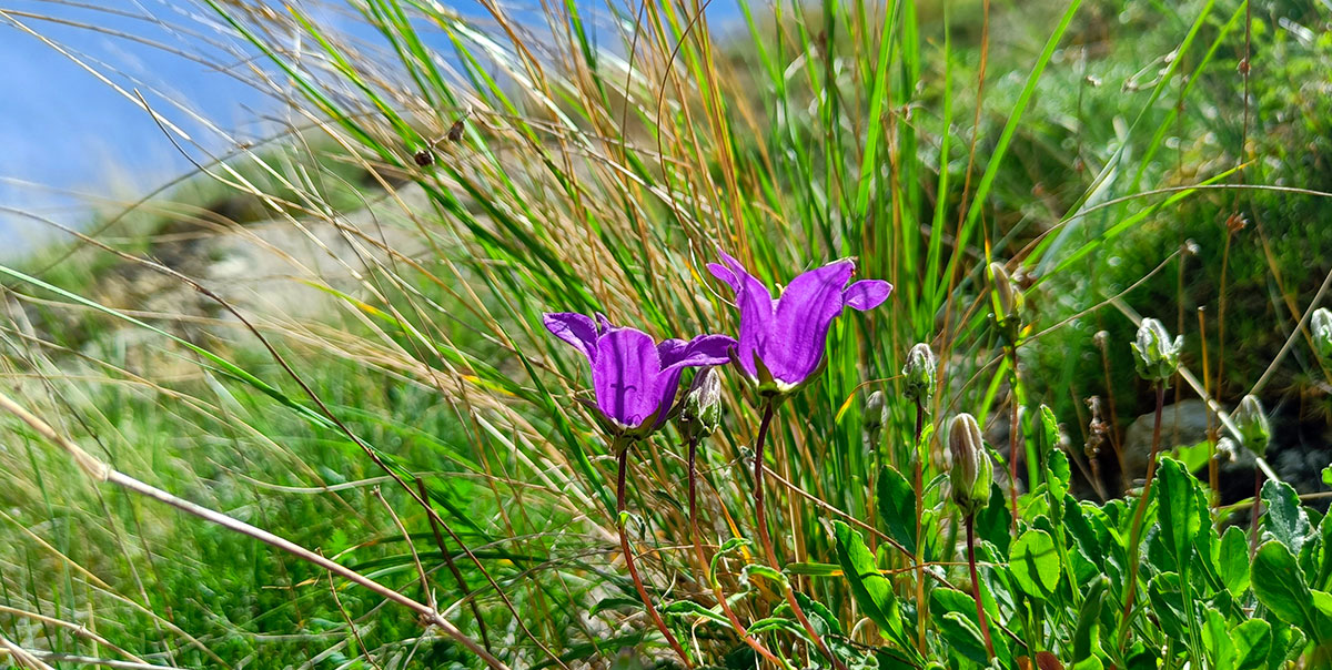 Путешествие в Дагестан (91/112)