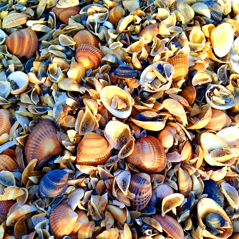 Путешествие в Дагестан (61/112)