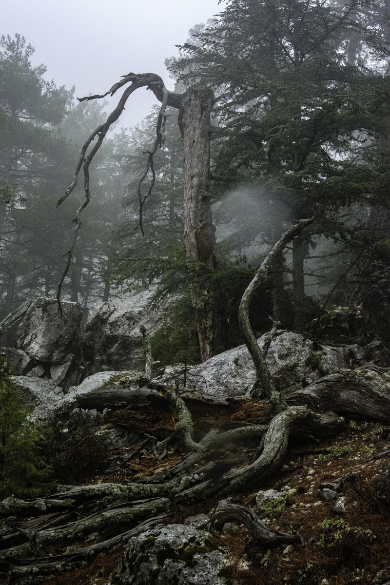 Топ-места Ликийской тропы: активный тур без рюкзаков (12/44)