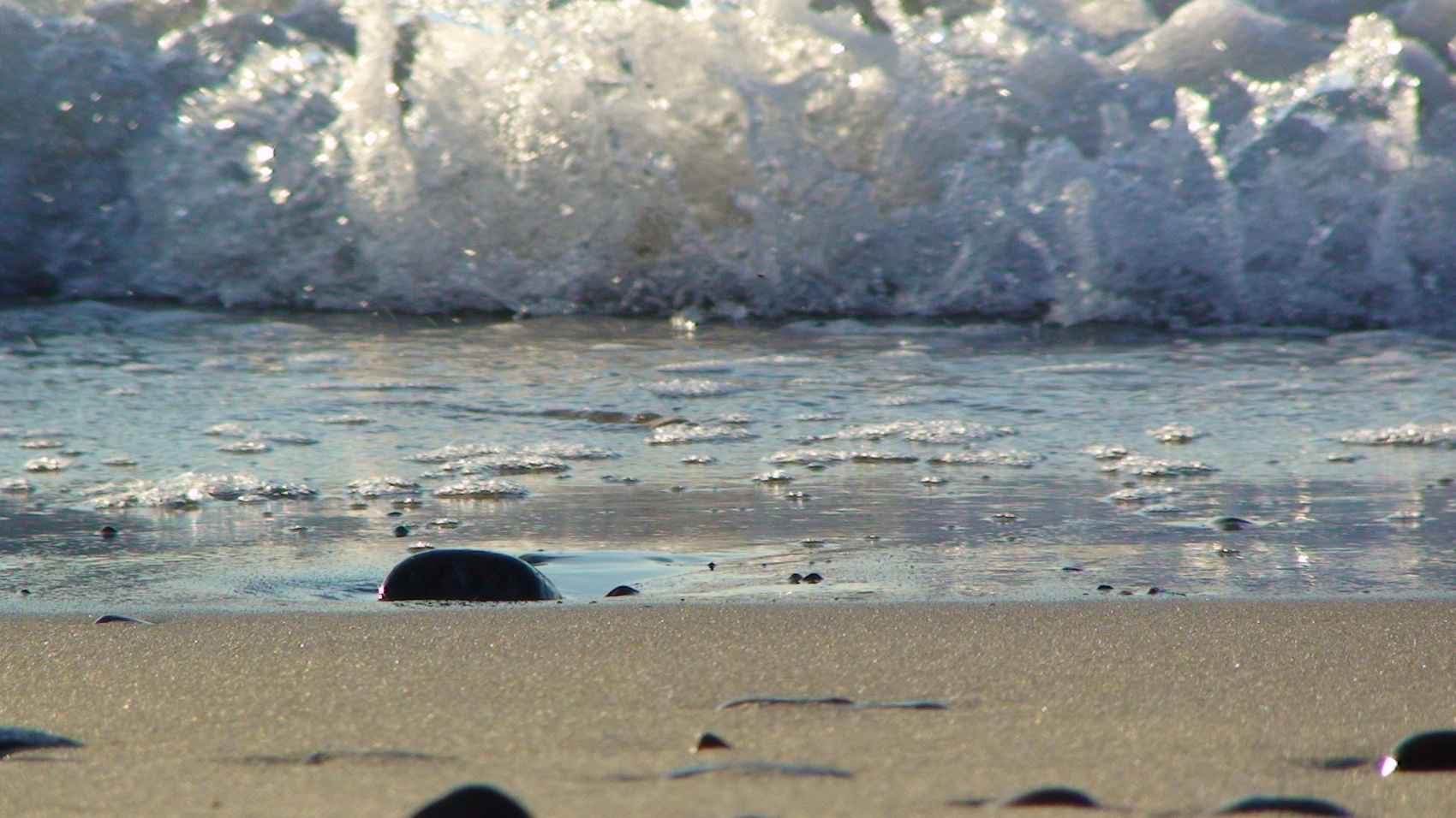 Новый год в сказочном Светлогорске на берегу Балтийского моря (10/32)